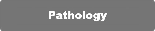 Pathology Courses